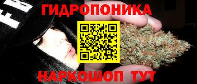 прущие крисы Анжеро-Судженск