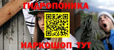 прущие крисы Анжеро-Судженск