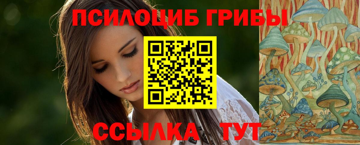 Псилоцибиновые грибы Psilocybine cubensis Гуково