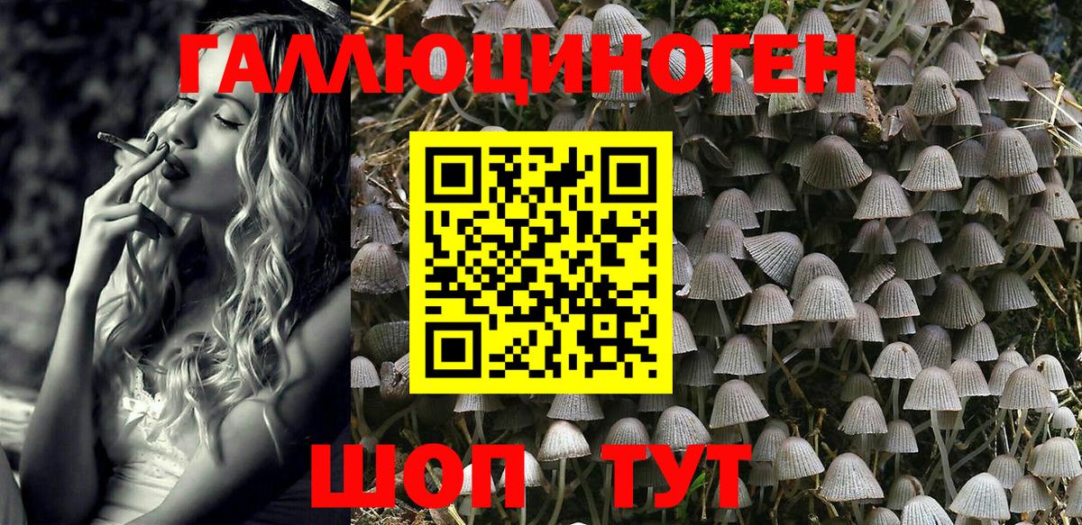 Галлюциногенные грибы мухоморы  Вход с VPN  Гуково 